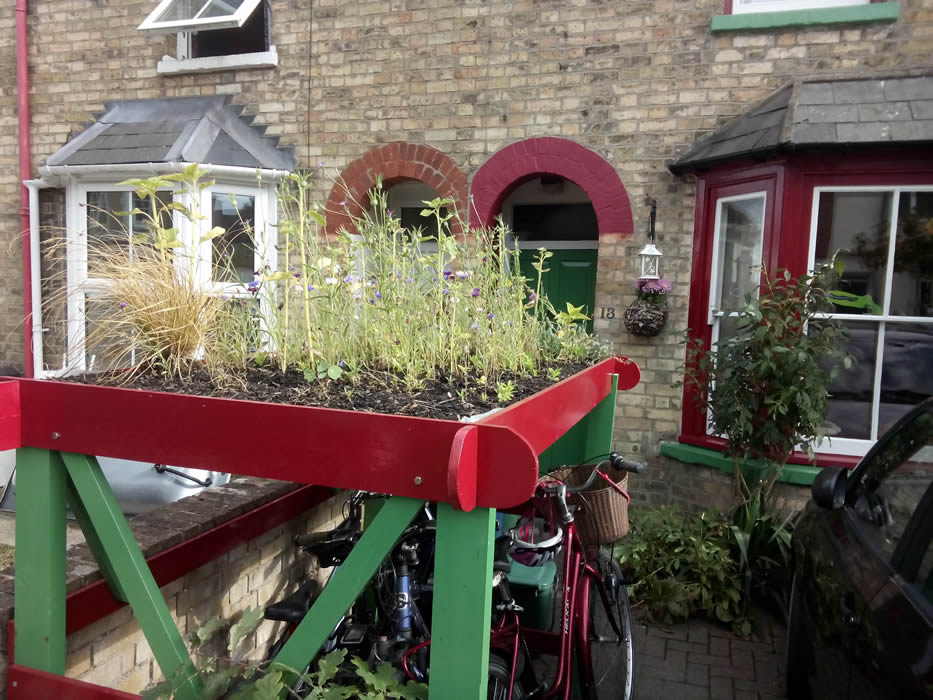 I made this bike shelter to live outside our house and stop the bikes getting wet while flowers grow on top.
